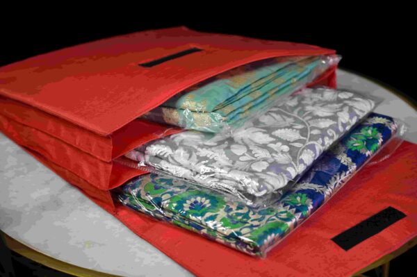 Rajput Revelry Collection - Image 4